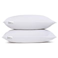 thumbnail image 1 of Doctor Pillow Luna Pedic Luxe Cloud 2 PACK Pillow, 1 of 5