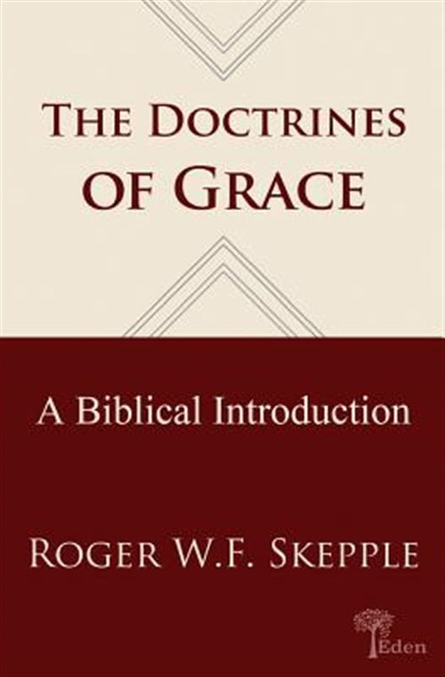 Doctrines of Grace: A Biblical Introduction - Walmart.com