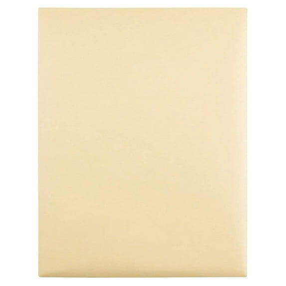 , Document Envelopes, Gummed, Cameo Buff, 10x15, 100 per Box (54416), Large