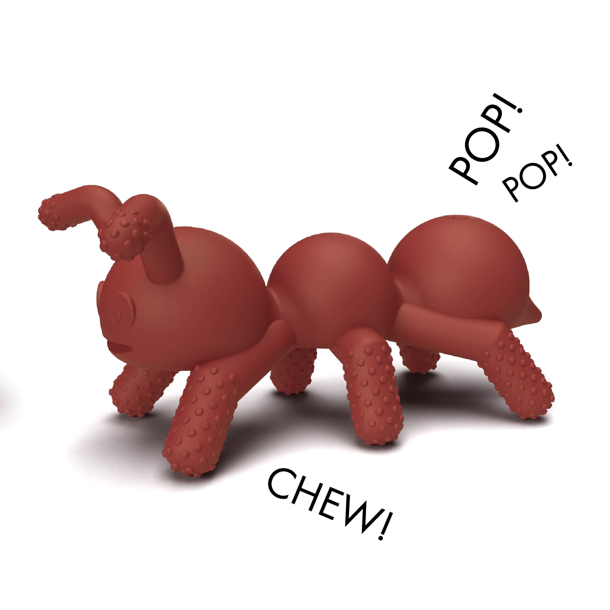 Doddle and Co The Chew Teether Ant icipation Ages 3 mo