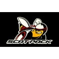 thumbnail image 1 of Dodge Scatpack Bee Steel Sign - Ver2, 1 of 4