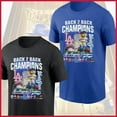 thumbnail image 1 of Dodgers Back 2 Back World Series Champions 9x All Logo FREESHIP Fans, 1 of 5