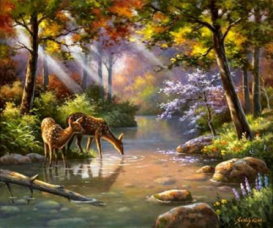 Doe Ray Me Creek Canvas Art - Sung Kim (20 x 24)
