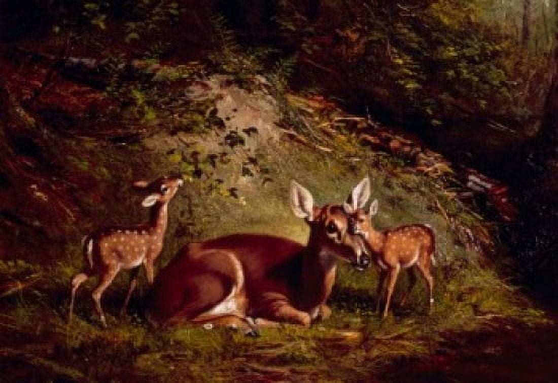 Doe and Fawn by Arthur Fitzwilliam Tait (1819-1905) Canvas Art - Arthur Fitzwilliam Tait (18 x 24)