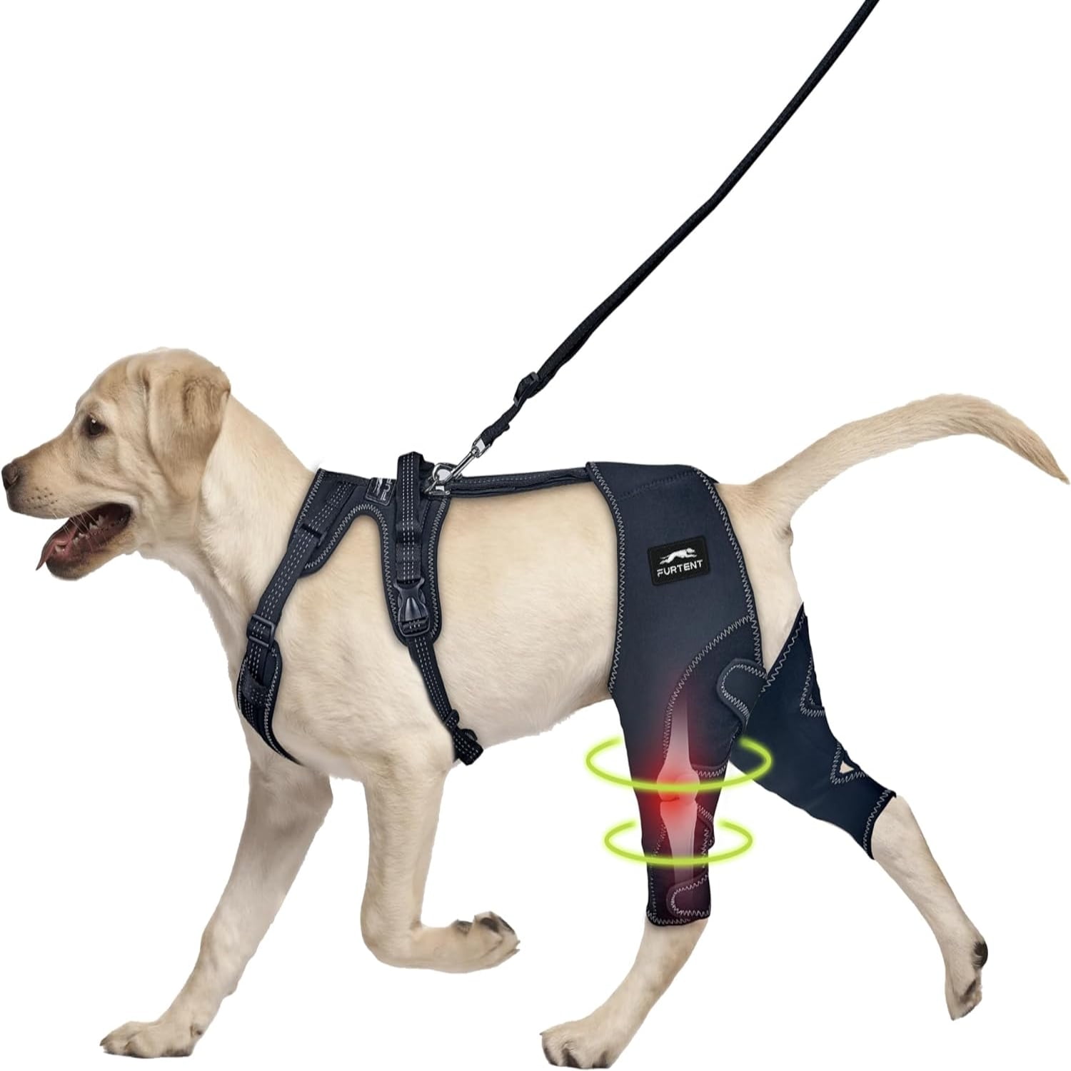 Cruciate ligament support for dogs best sale