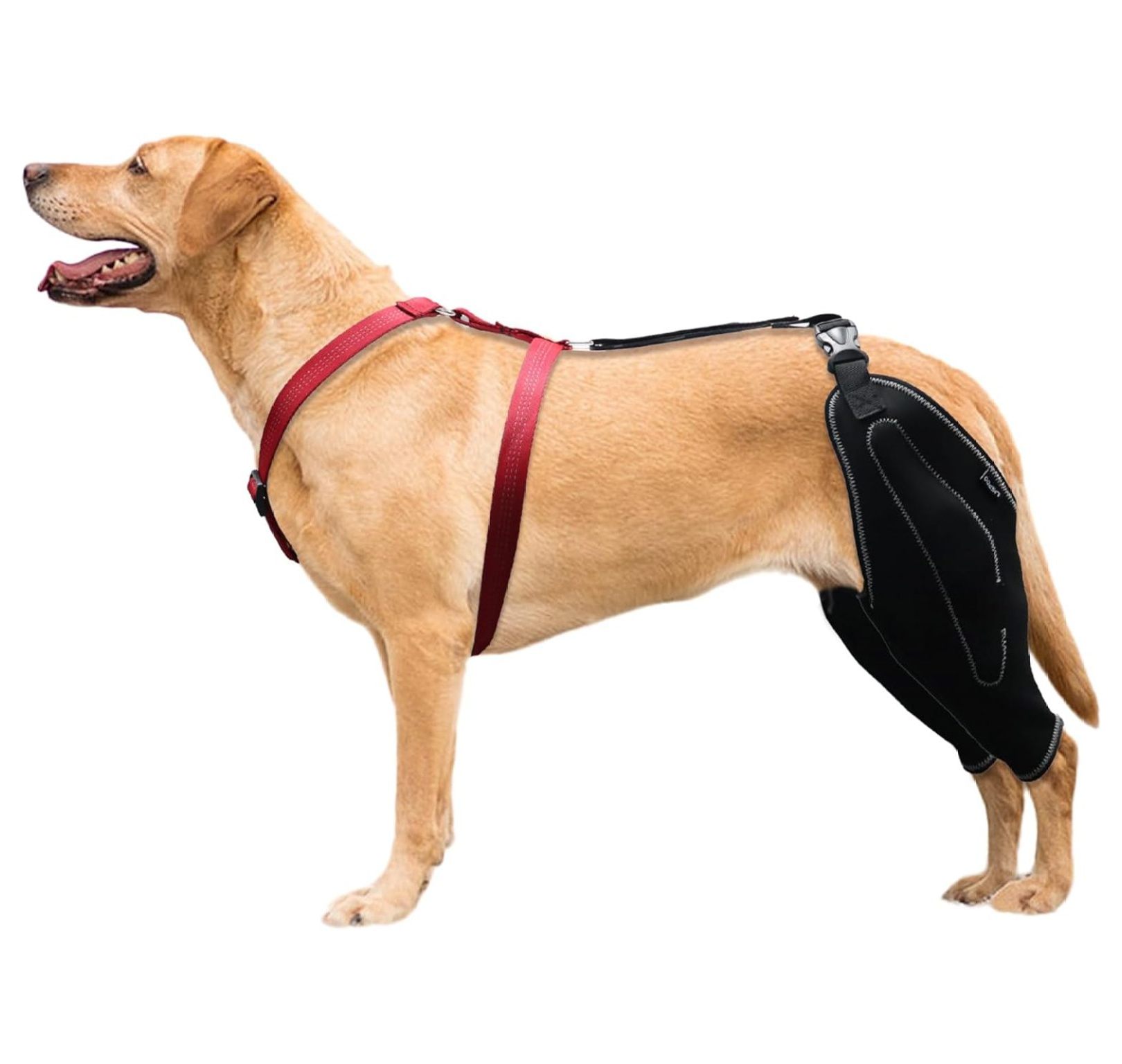 Dog Acl Knee Brace Support for Acl Hind Leg,Luxating Patella,Joint Pain