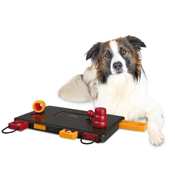 Dog Activity Move-2-Win - Level 3