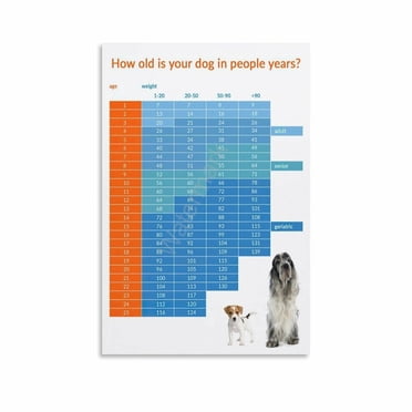 Pelvic Floor Exercises Chart for Women Poster (1) Canvas Painting Wall ...