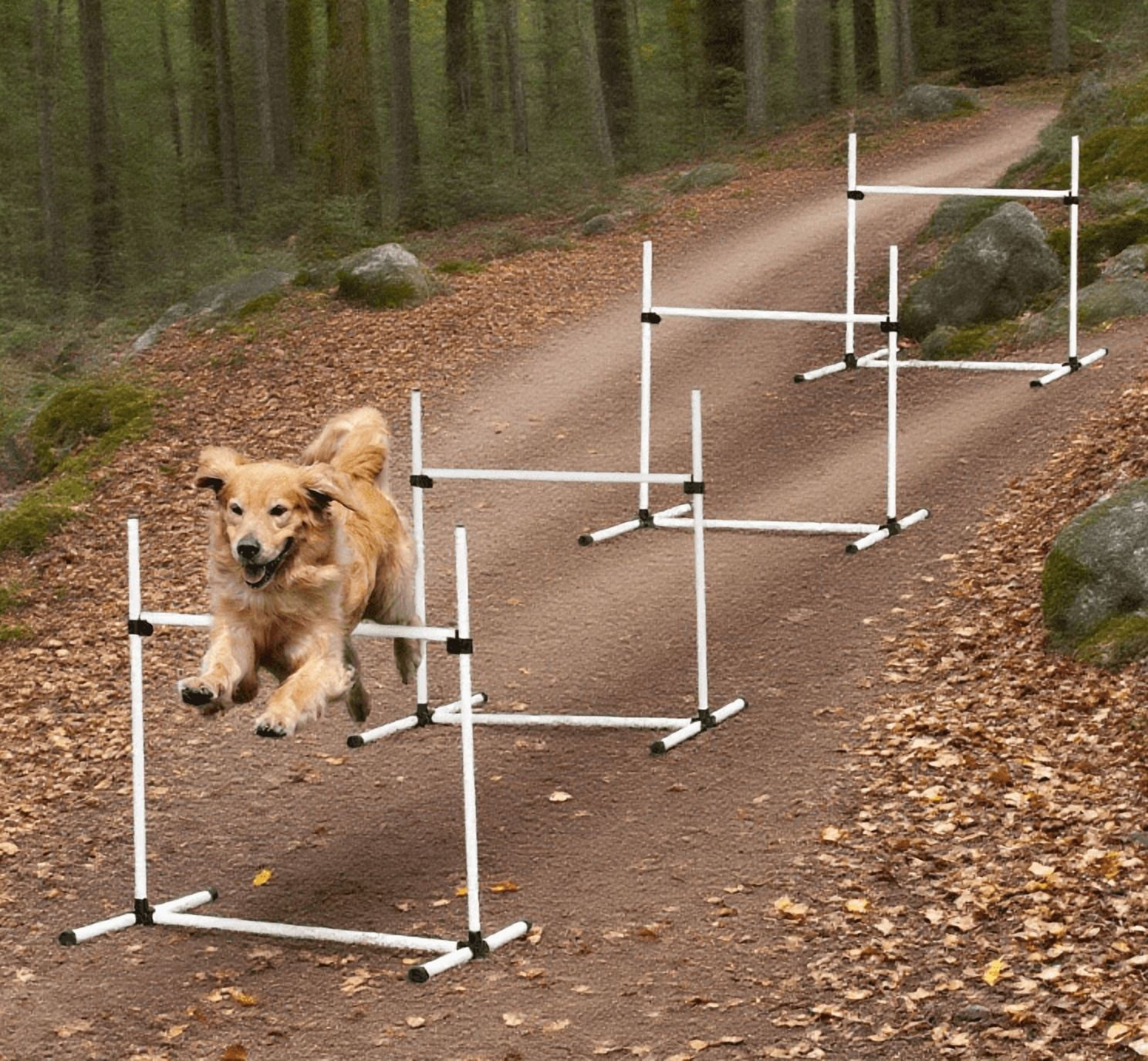 Dog Agility Training Equipment for Dog Agility Course