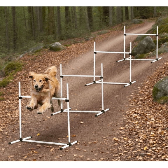 Dog Agility Training Equipment for Dog Agility Course