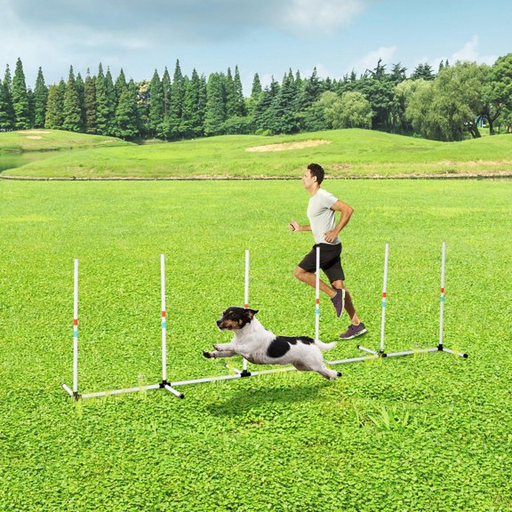 Dog Agility Weave Poles Set Outdoor Pet Training Equipment with Carry Bag