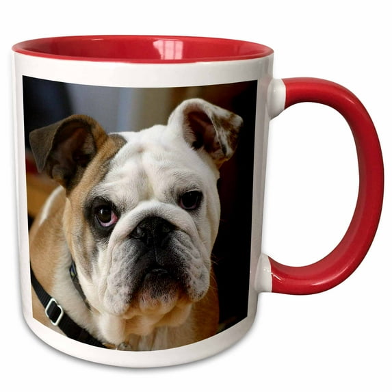 3drose, Dog American Bulldog, 11oz Two-tone Red Mug