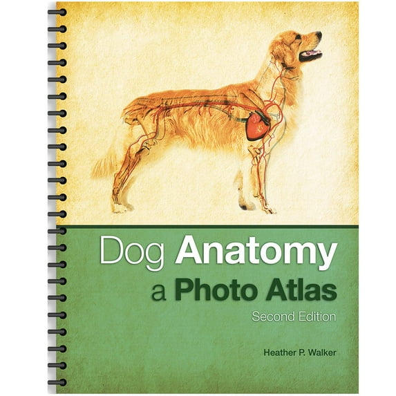 Dog Anatomy: A Photo Atlas, Full-Color, Soft Cover Book