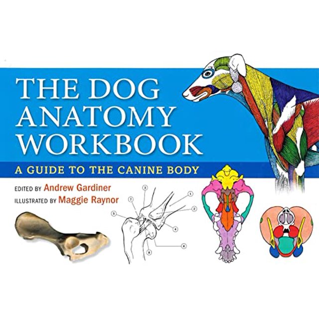 PreOwned Dog Anatomy Workbook A Guide to the Canine Body (Other