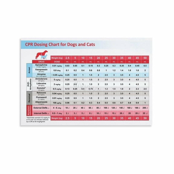 Dog And Cat CPR Rescue Chart Poster Emergency Dosage Guide Wall Art for Living Room Clinic Decor