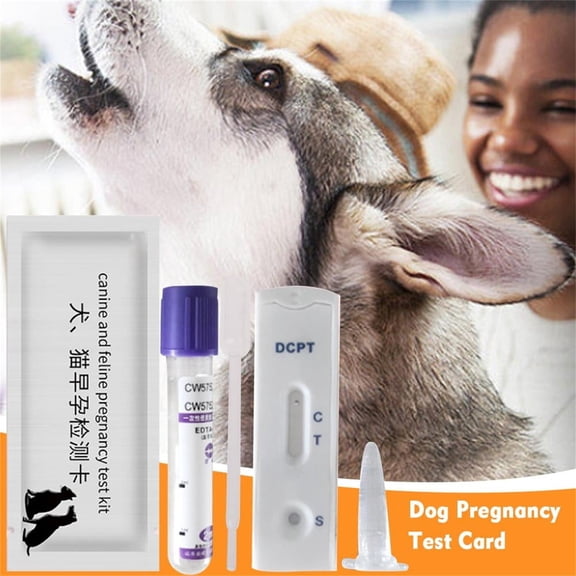 Dog And Cat Early Pregnancy Test Kit, 1-Set Urine Detection For Canine Feline Conception, Rapid At-Home Test Strips For Pet Owners