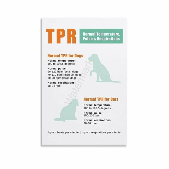Dog And Cat Vital Signs Guide Veterinary Poster (2) Canvas Painting Wall Art Poster for Bedroom Living Room Decor