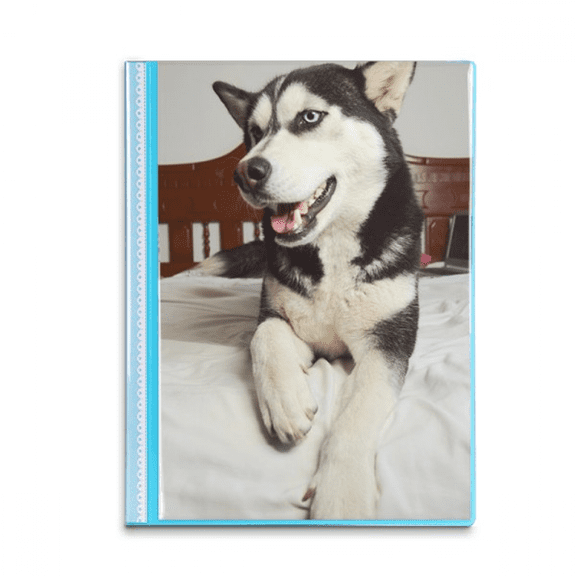 Dog Animal Room Husky Picture Book Sheet Protectors Portfolio Binder Folder
