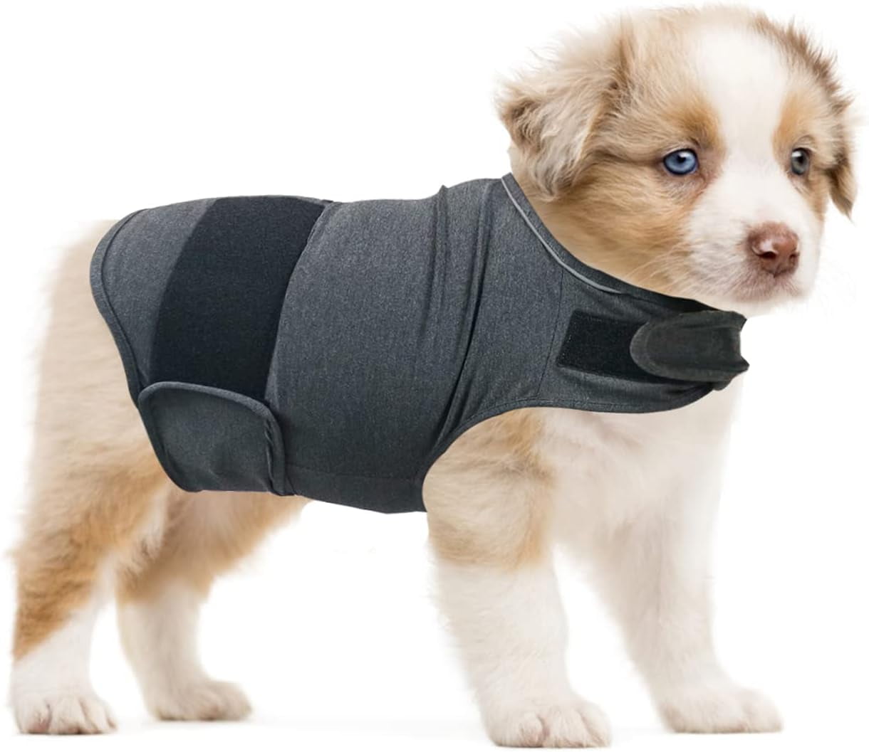 Dog Anxiety Relief Coat Adjustable Shirts for Dogs Anxiety Dog Anxiety Vest Jacket for Fireworks Thunderstorm Travel Separation Anxiety Calming Vest Wrap for Small Medium Large Dog Walmart