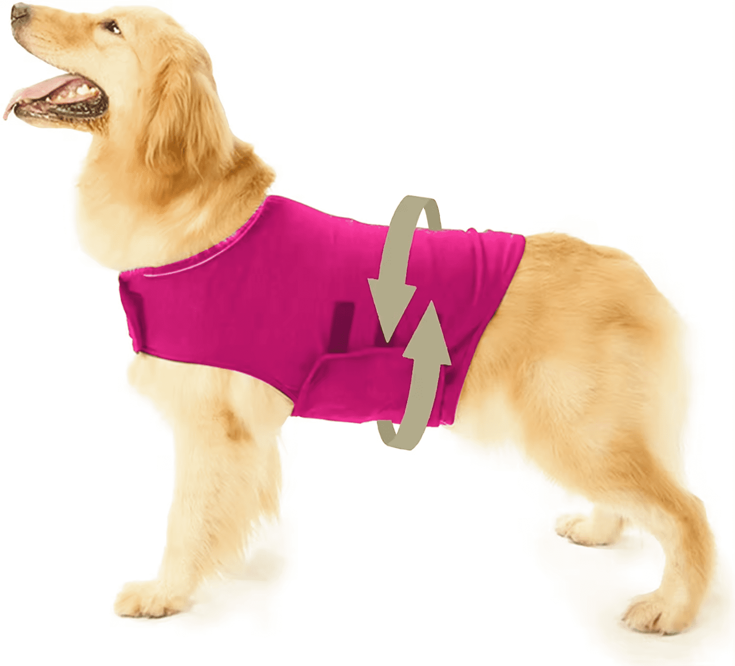 Dog anxiety jacket reviews sales