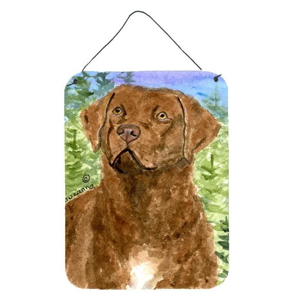 Caroline's Treasures Ss8933ds1216 Chesapeake Bay Retriever Wall or Door Hanging Prints, 16 inch x 12 inch