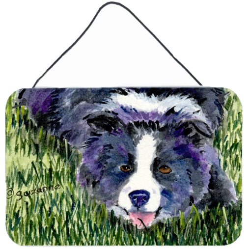 Carolines Treasures SS8836DS812 Border Collie Indoor Aluminum Metal Wall or Door Hanging Prints, 8 x 12", Multicolor
