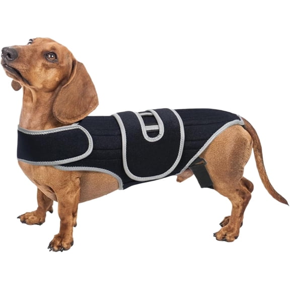 Dog Back Support Vest, Adjustable Lumbar Brace, Spine Stabilizer, Mobility Aid for Small Large Dogs