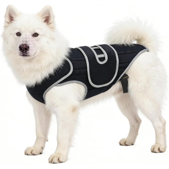 Dog Back Support Vest, Adjustable Lumbar Brace, Spine Stabilizer, Mobility Aid for Small Large Dogs