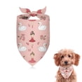thumbnail image 1 of Dog Bandana 1 Pack,Pink Ballerina Swan Pattern Bandanas for Dogs,Cat Bandana,Small/ Large Dog Bandana 2 Size,Dog Bandanas, 1 of 6