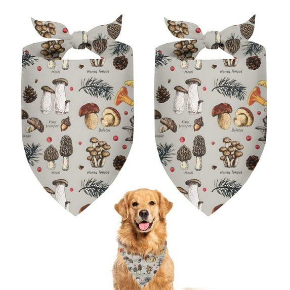 Dog Bandana 2 Pack,Brown Mushroom Pinecone Grey Pattern Bandanas for Dogs,Cat Bandana,Small/ Large Dog Bandana 2 Size,Dog Bandanas