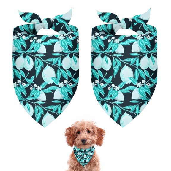 Dog Bandana 2 Pack,LightBlue Lemon Fruits DarkBlue Pattern Bandanas for Dogs,Cat Bandana,Small/ Large Dog Bandana 2 Size,Dog Bandanas