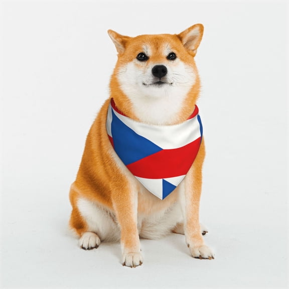 Dog Bandanas with Two Snaps Czech Republic Flag Reversible Styles Pet Triangle Scarf Bibs - Adjustable with Two Snaps Small