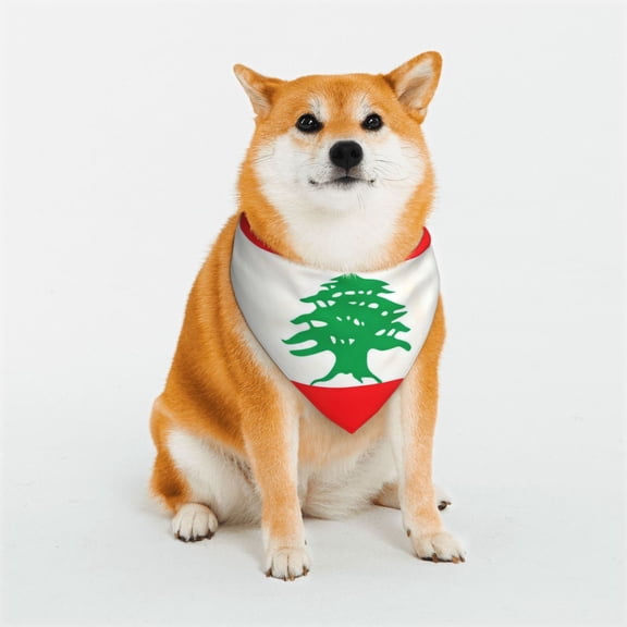 Dog Bandanas with Two Snaps Lebanese-Flag Reversible Styles Pet Triangle Scarf Bibs - Adjustable with Two Snaps Small