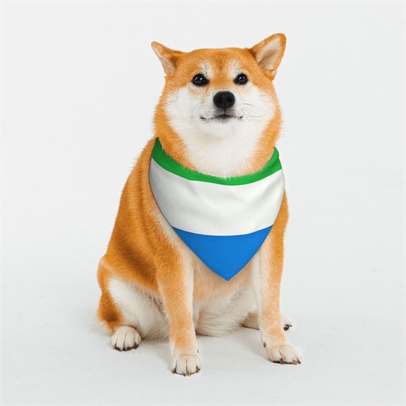 Dog Bandanas with Two Snaps Sierra-Leone Flag Reversible Styles Pet Triangle Scarf Bibs - Adjustable with Two Snaps Small