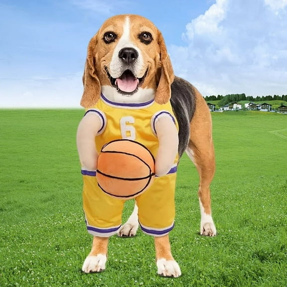 Dog Basketball Player Costume with Dog Basketball Costume Funny Dress Up Sports Outfit Halloween Cosplay for Pets B