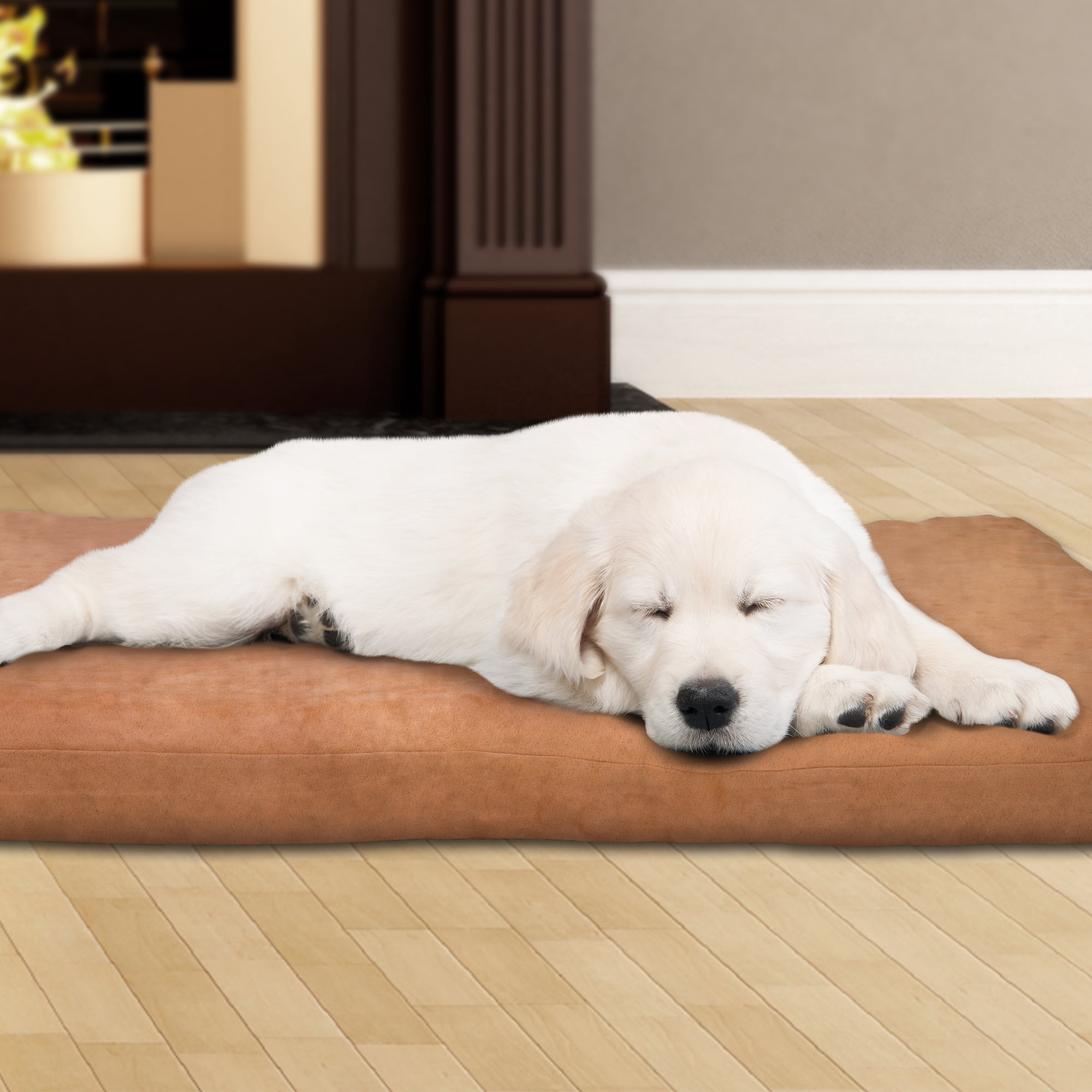 Dog Bed, 3 inch Foam Pet Bed-35" x 44" -Clay