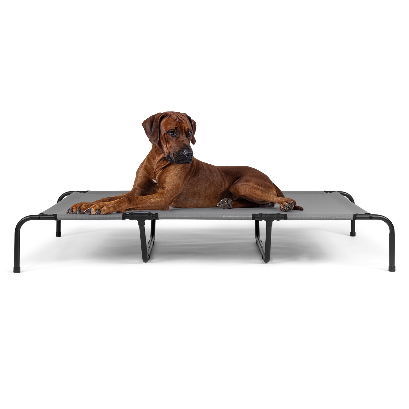 Dog Bed, 60"D x 37"W x 9"H