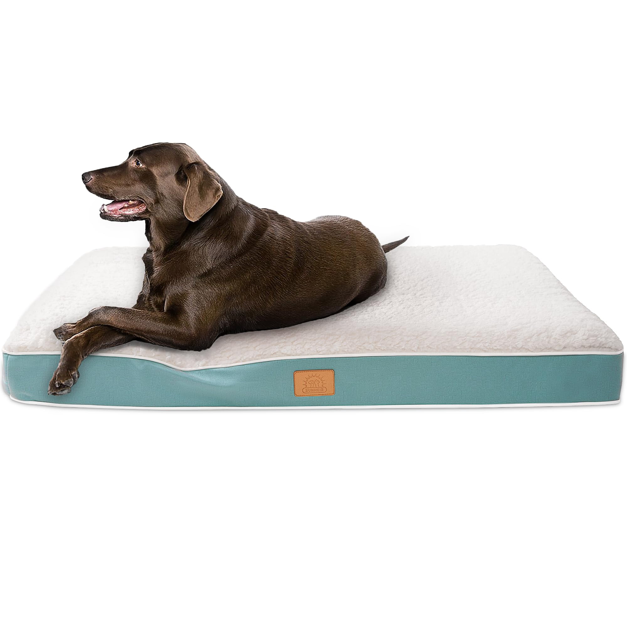 Dog Bed Blue 35.0"L x 22.0"W x 3.0"Th Orthopedic Egg Foam