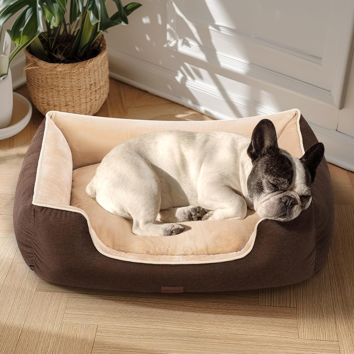 SPECSTAR Orthopedic Dog Bed for Small Dogs 28", Dual-Sided Cooling & Warming for All Seasons, Dual-Layer Interior Padding for Support and Softness, Waterproof & Heavy-Duty Non-Slip Bottom, Brown