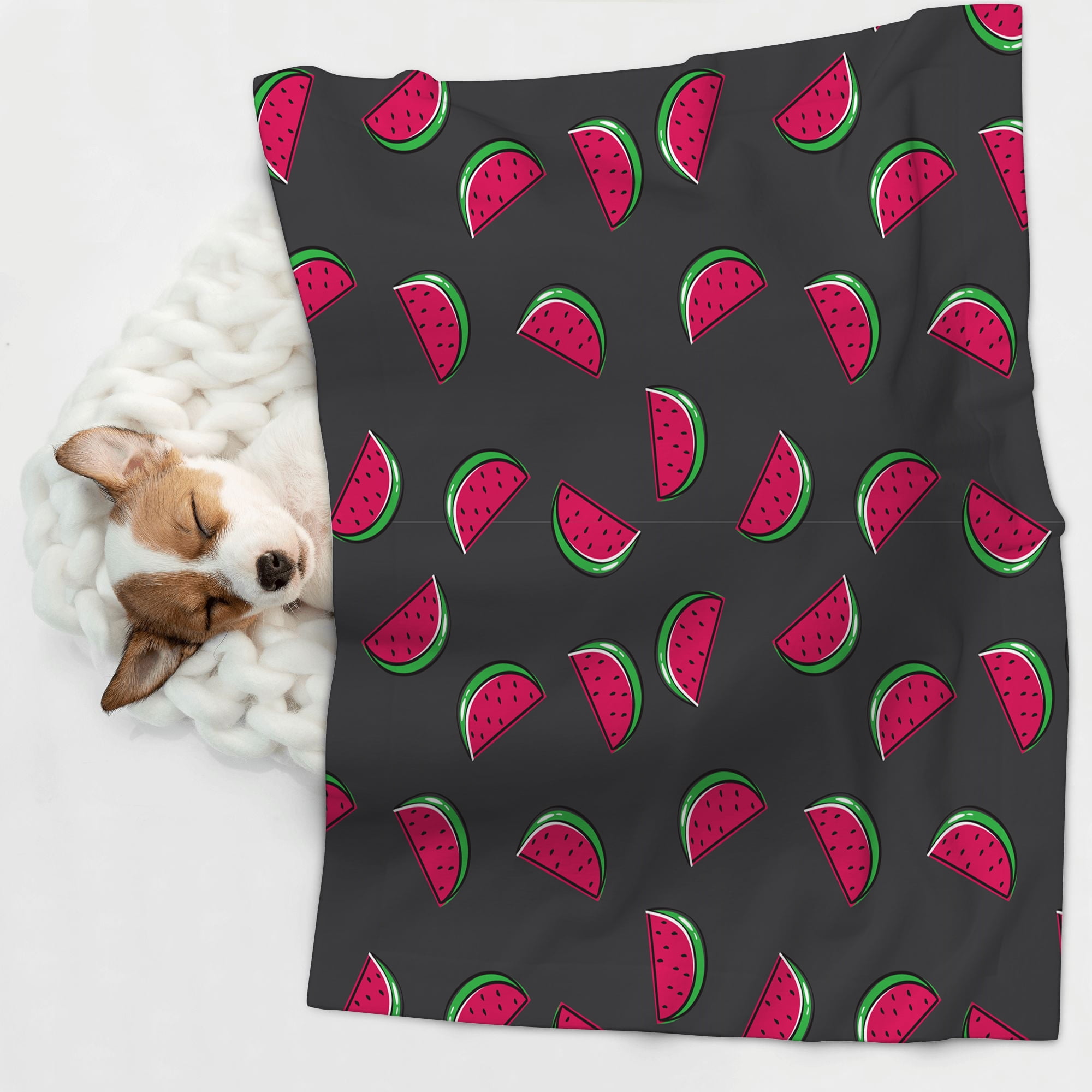 Dog Bed Cover and Pet Blanket Fruit Watermelon Sofa Pet Bed Mat Car