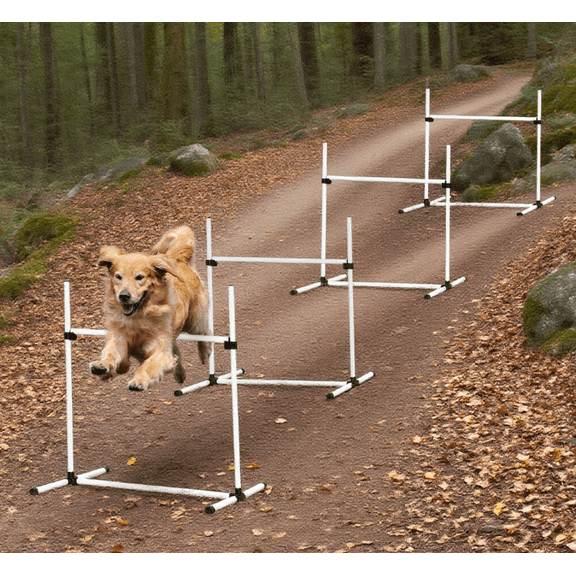 Dog Bed Dog Agility Training Equipment for Dog Agility Course,Large Dog Bed