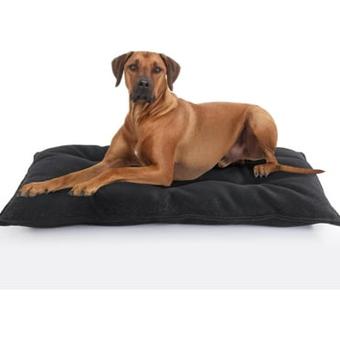 Dog Bed, Indestructible Chew Proof Pet Bed Mat, Durable Polyester, Large 35x22 inches, Black, for Aggressive Chewers, Crate Pad, Machine Washable