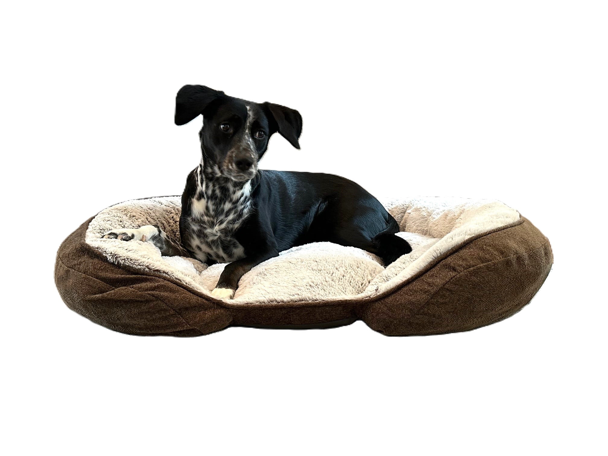 Big Barker Dog Bed Amazon visitchile.cl