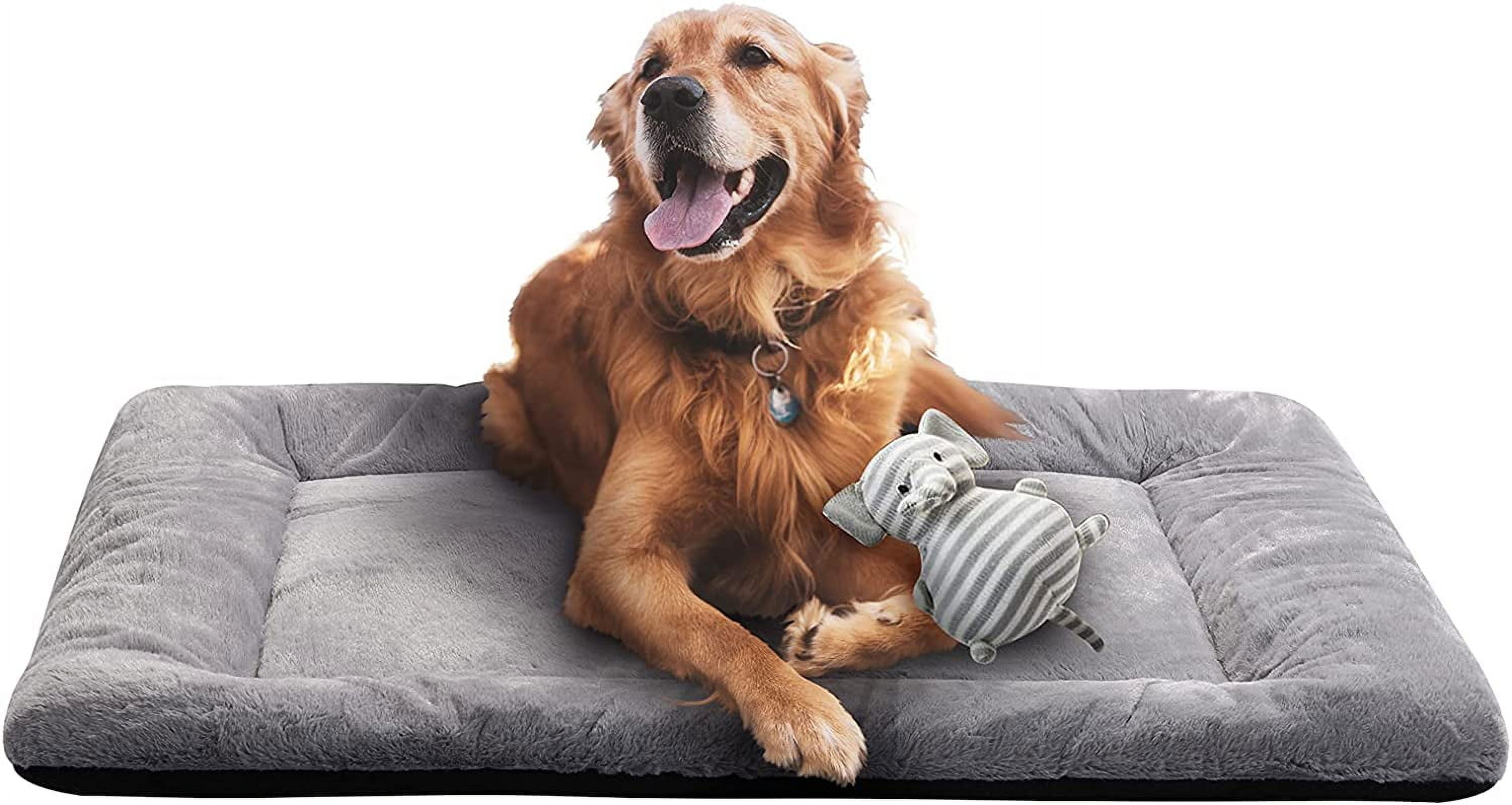 Dog Beds Crate Pad for Medium/Large Dogs Fit Dog Crates,Washable & Anti ... - Dog Crate Cozy