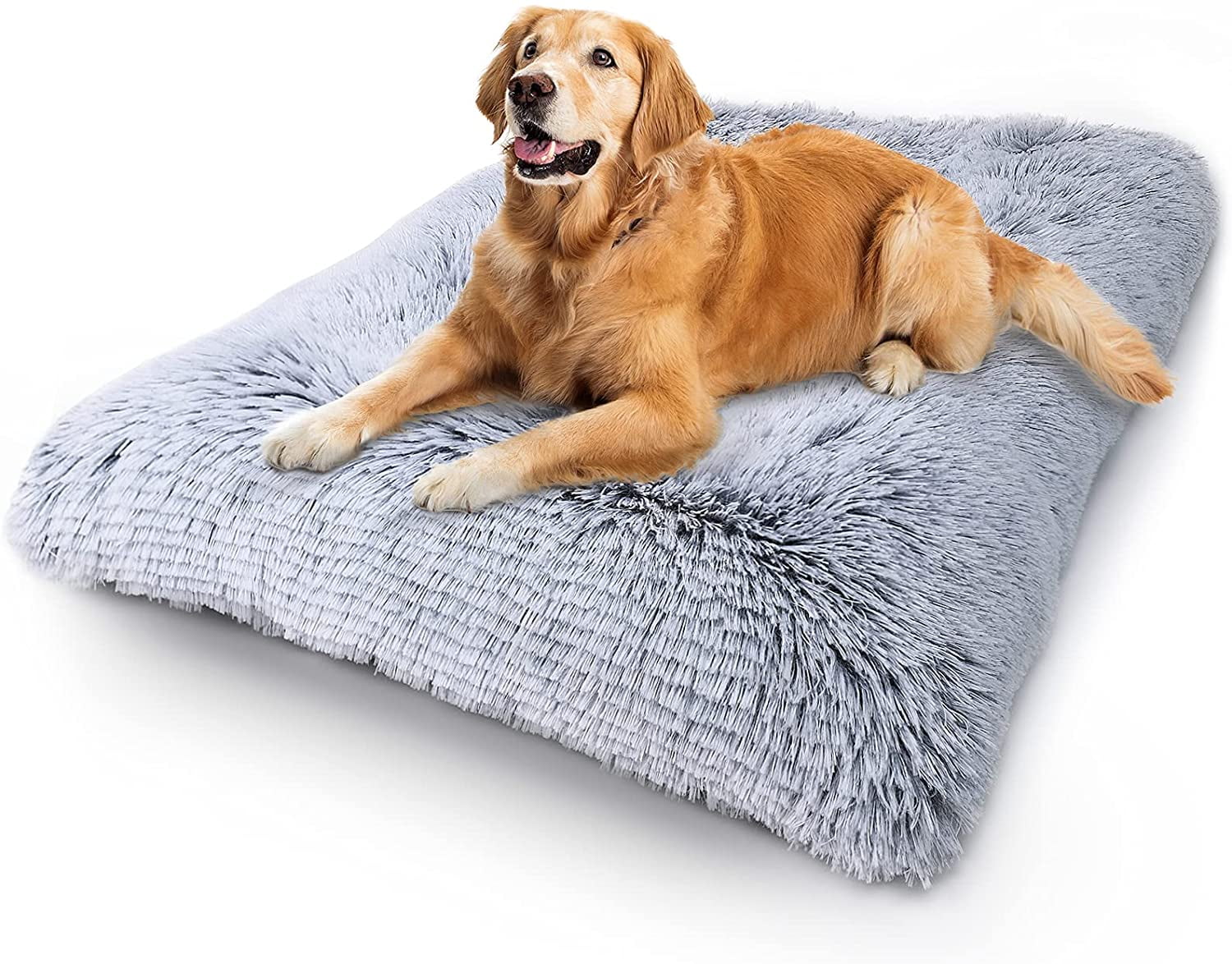 Extra large dog beds walmart hot sale
