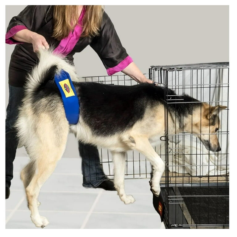 Dog Belly Bands for Grooming Safety 46 Inch Supports Any Dog