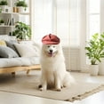 thumbnail image 1 of Dog Beret Hat Fashion Pet Cap French Style Baseball Hat for Party Birthday Wedding Photo Accessories, 1 of 3