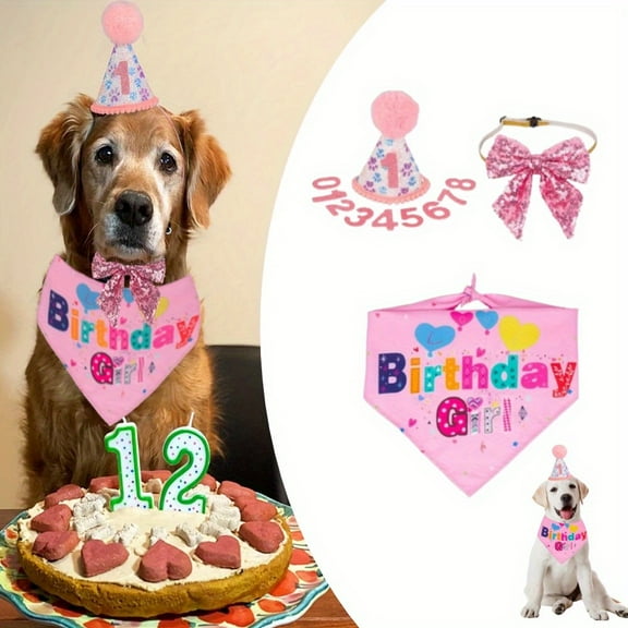 Dog Party Supplies for Girl, Pink Birthday Bandana Hat & Bow Set with Numbers, Canine Celebration Outfit for Medium Large Dogs
