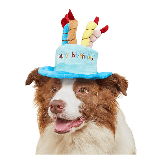 Dog Birthday Cake Hat, Cute Dog Happy Birthday Hat Pet Cap Headwear Hat with 5 Colorful Candles, Cat Birthday Party Supplies Decorations - (Blue)