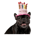 thumbnail image 1 of Dog Birthday Cake Hat, Cute Dog Happy Birthday Hat Pet Cap Headwear Hat with 5 Colorful Candles, Cat Birthday Party Supplies Decorations - (Pink), 1 of 9
